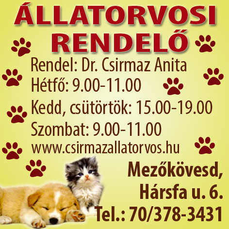 kisállat ultrahang Mezőkövesd