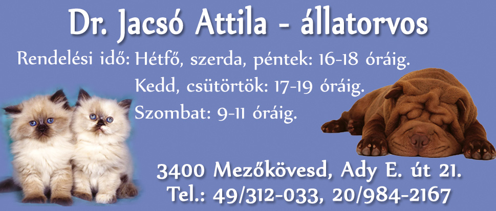 Dr. Jacsó Attila Mezőkövesd
