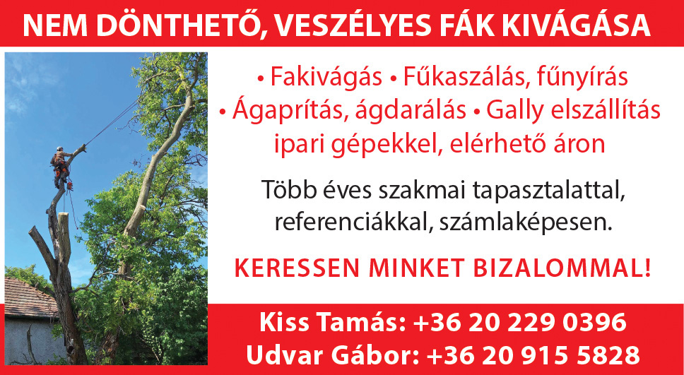fűkaszálás, fűnyírás Tisza-tó környéke