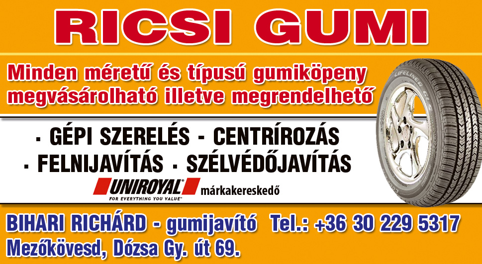 Ricsi Gumiszerviz